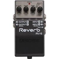 RV-6 [Digital Reverb]