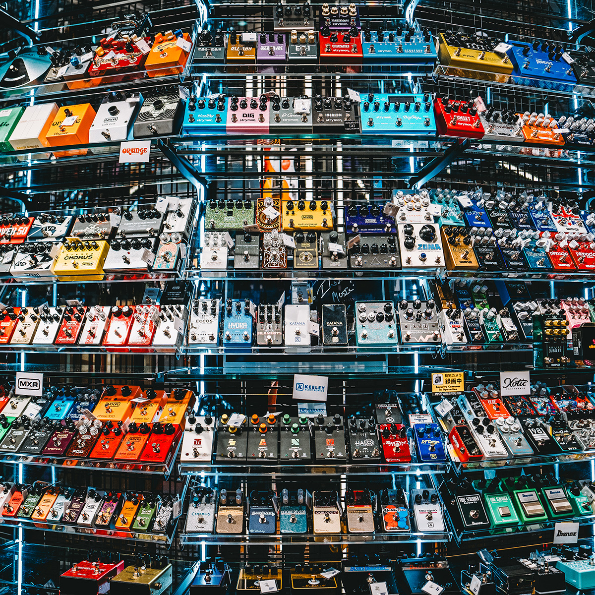 ワールドペダルパーク