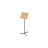 Concert Stand