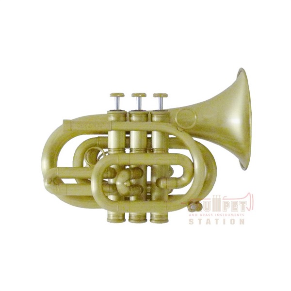 超可爱の CarolBrass Pocket Trumpet N3000 SP parkhotel.com.pe