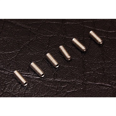 Raw Vintage RawVintage StainlessSteel Saddle Short Screw 6 pcs [ 8mm / インチ規格] (XP-14-6)