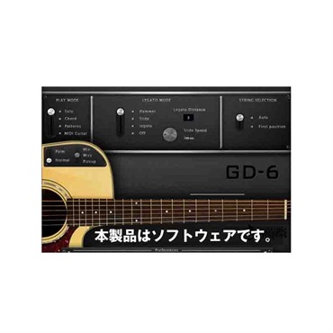 GD-6 Acoustic Guitar(オンライン納品専用) ※代金引換はご利用頂けません。