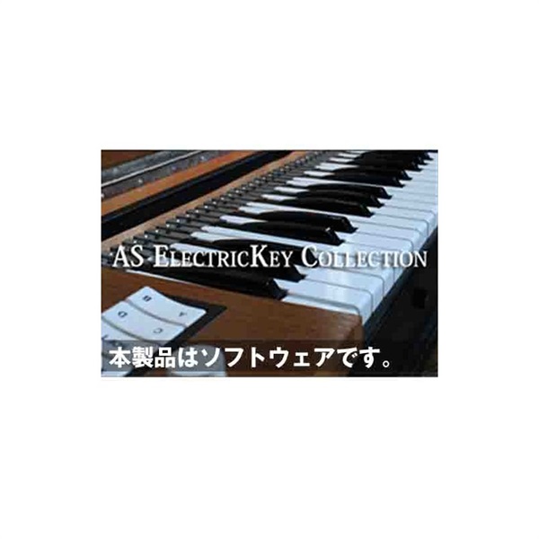 Acoustic Samples AS ElectricKey Collection(オンライン納品専用