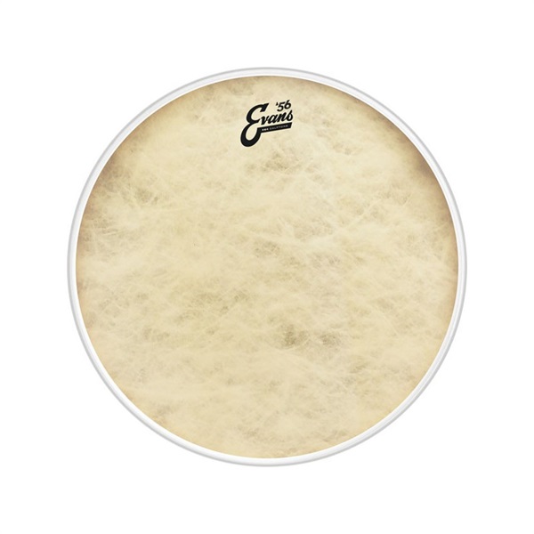 EVANS BD18GB4CT ['56 - EQ4 Calftone Bass 18 / Bass Drum]【1ply