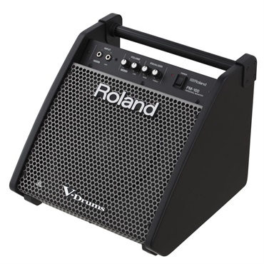 Roland PM-100 [Personal Monitor for V-Drums]?