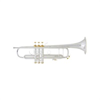 180ML37/25 SP/GP【Bb トランペット】 【トランペットステーション特注モデル】 【2024 Bach trumpet fair】