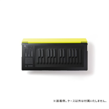 ROLI RISE 25 Flip Case - Lime