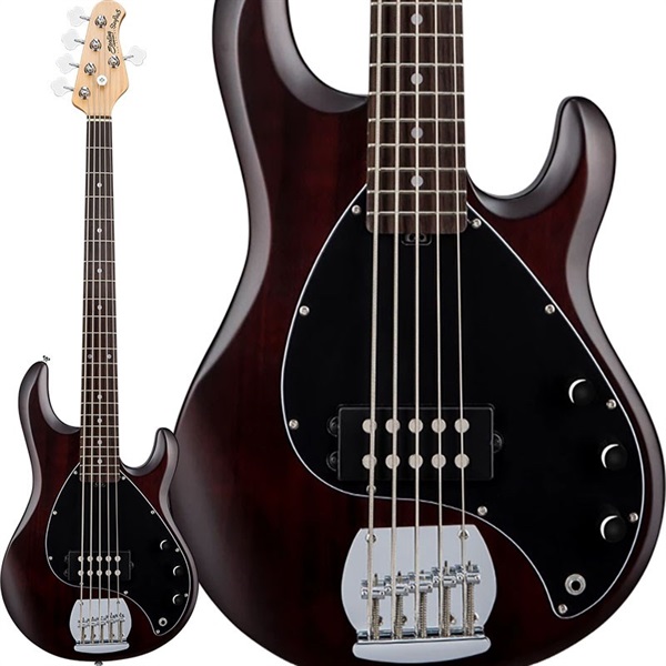 Sterling by MUSICMAN S.U.B. Series Ray5 (Walnut Stain/Rosewood ...