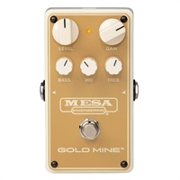 【WEB限定在庫処分セール】 GOLD MINE