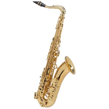 Selmer Paris テナーサックス　セルマー AXOS（アクソス）