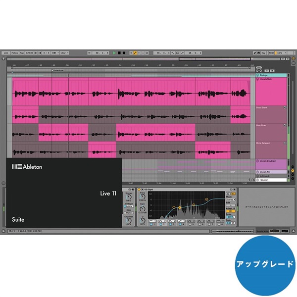 DTM/DAWableton Live 11 Suite UPG from Live Lite(アップグレード版 ...