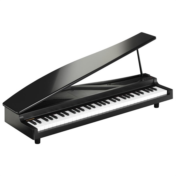 KORG microPIANO BK ブラック【贈り物にも最適♪】【超長期欠品・次回納期未定】