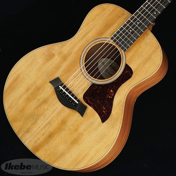 TAYLOR GS Mini Mahogany