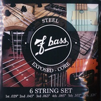 Stainless Steel Exposed-Core Strings [6st]