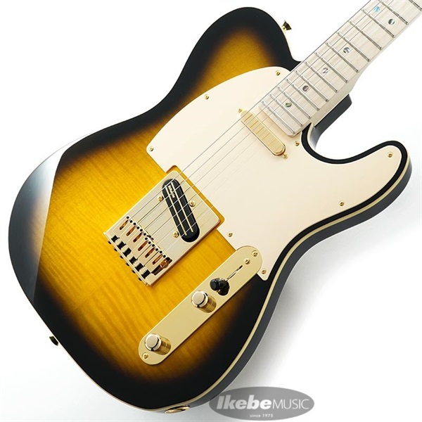 Fender Made in Japan Ritchie Kotzen Tele (Brown Sunburst) ｜イケベ 