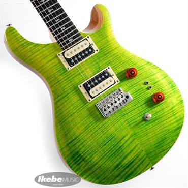 P.R.S. SE Custom 24-08 (Eriza Verde)