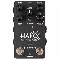 Halo - Andy Timmons Dual Echo