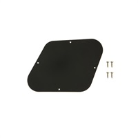 【PREMIUM OUTLET SALE】 Control Plate (Black) [PRCP-010]