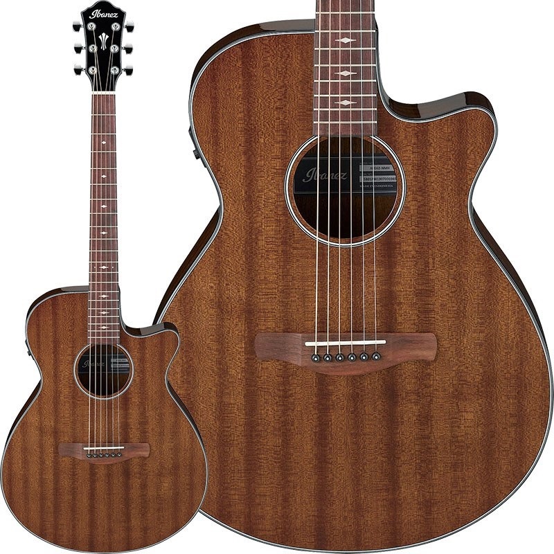 Fender Acoustics FSR Newporter Player All Mahogany 【特価