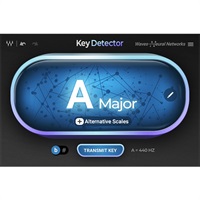 Key Detector(オンライン納品)(代引不可)