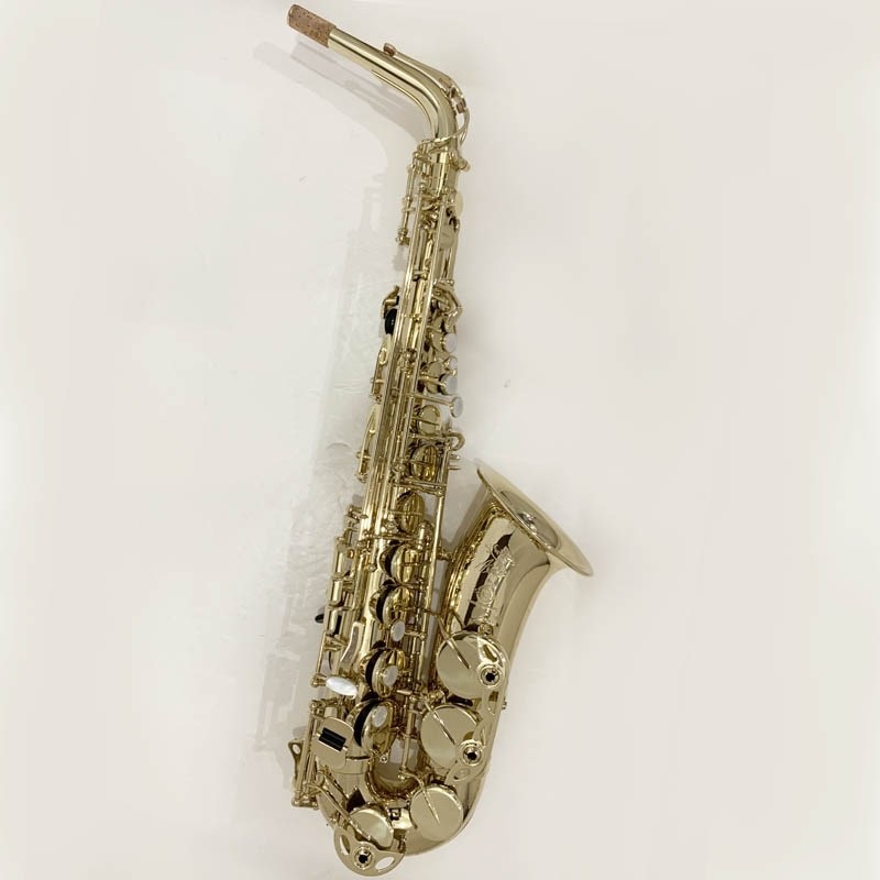 Selmer Paris セルマー アルトサックス AXOS S/N:A07xx2 ｜イケベ楽器店