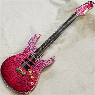 Freedom Custom Guitar Research Order Style Hydra '23 Ajisai