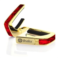 Exotic Shell Series 24K Gold Red Angel Wing [新仕様]
