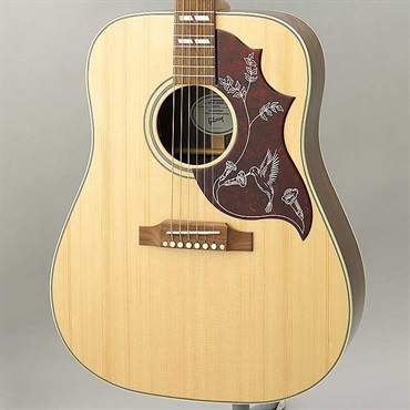 Gibson 【特価】 Hummingbird Studio Walnut (Antique Natural) ギブソン