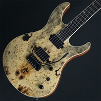 【USED】 ACACIA Guitars Romulus 6 Backeyeburl Top (Natural) 【SN.WM7010】 【夏のボーナスセール】