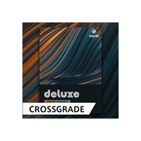 【UJAMクロスグレード50%オフ！】USYNTH DELUXE / CROSS GRADE (オンライン納品)(代引不可)