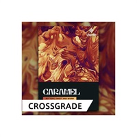 【UJAMクロスグレード50%オフ！】USYNTH CARAMEL / CROSS GRADE (オンライン納品)(代引不可)
