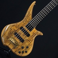 【USED】 TWX-5 EX Spolted Maple Top