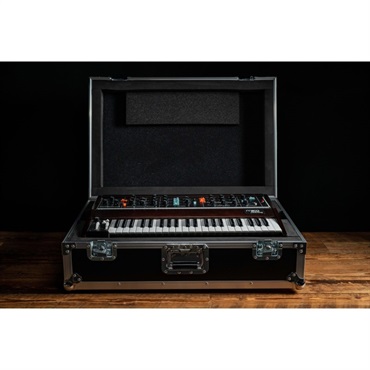 moog Model D ATA Road Case