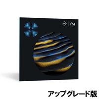 【 iZotope RX 11イントロセール延長！】RX 11 Advanced: UPG from any previous version of RX Standard  (オンライン納品)(代引不可)