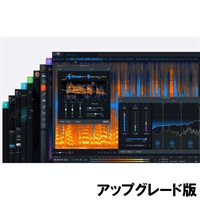 【 iZotope RX 11イントロセール延長！】RX Post Production Suite 8: UPG from any previous version of RX Standard  (オンライン納品)(代引不可)