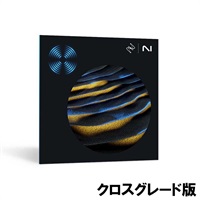 【 iZotope RX 11イントロセール延長！】RX 11 Advanced: Crossgrade from any paid iZotope Product  (オンライン納品)(代引不可)