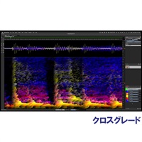 SpectraLayers Pro 10 Comp CG (オンライン納品)(代引不可)