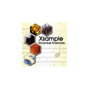 BestService XSAMPLE CHAMBER ENSEMBLE (オンライン納品)(代引不可)