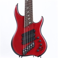 【USED】 Z3 6strings with FDV/Darkglass/etc. (Trans Red Stain Top/Black Satin Back)