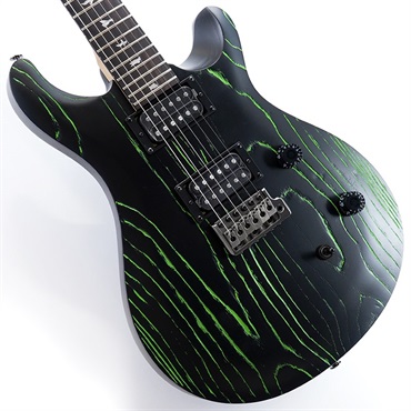 P.R.S. SE Swamp Ash CE 24 Sandblasted Limited Edition (Sandblasted Green)