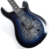 SE Mark Holcomb (Holcomb Blue Burst)