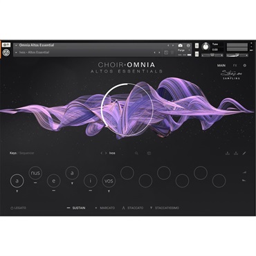 Native Instruments Choir Omnia - Essentials (オンライン納品)(代引不可)