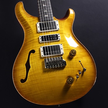 Special Semi-Hollow (McCarty Sunburst) SN.0386005