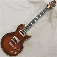 PE-R80 '81 JapanBrown