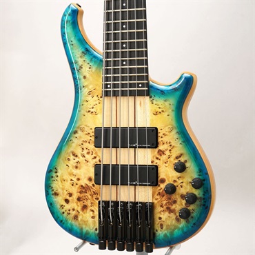 【USED】 Zi III-6 Headless Burl Poplar (Blue Burst)