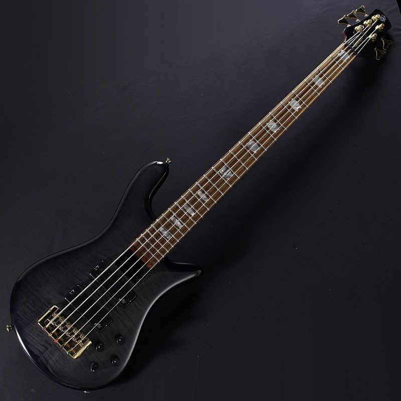 EuroBolt 5 Japan Exclusive (Black Burst) 【特価】の商品画像