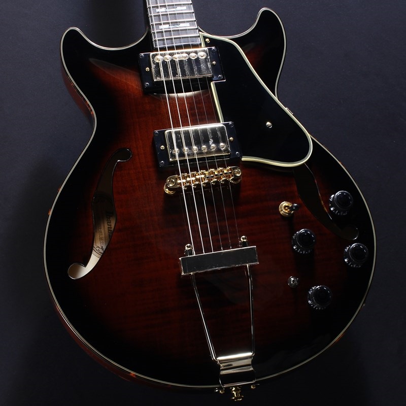 ARTSTAR AMH100FM-DVS (Dark Violin Sunburst) [SPOT MODEL] #PW24060518の商品画像