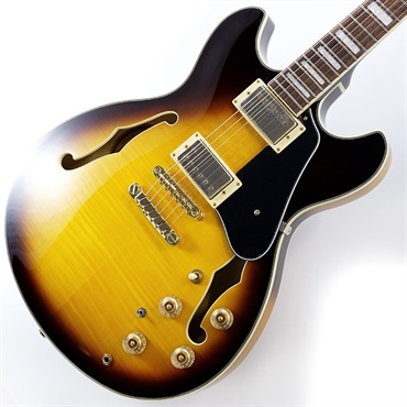 Ibanez JSM10EM-TTB (Two-tone Burst) [John Scofield Model] [SPOT MODEL]