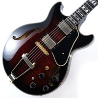 ARTSTAR AMH100FM-DVS (Dark Violin Sunburst) [SPOT MODEL]