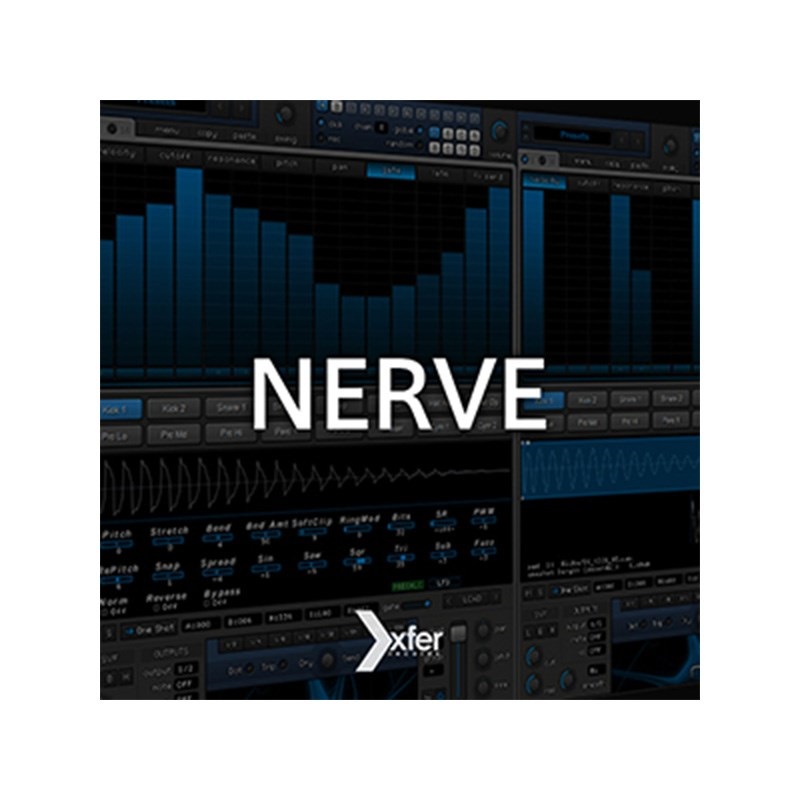 NERVE(オンライン納品)(代引不可)